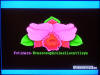 screenshot of 320 mode picture of flower
